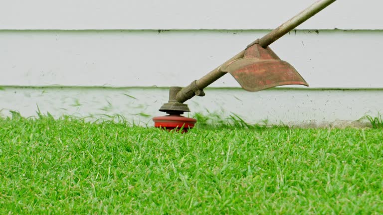 Best Lawn Irrigation Installation and Maintenance  in Bent, NE